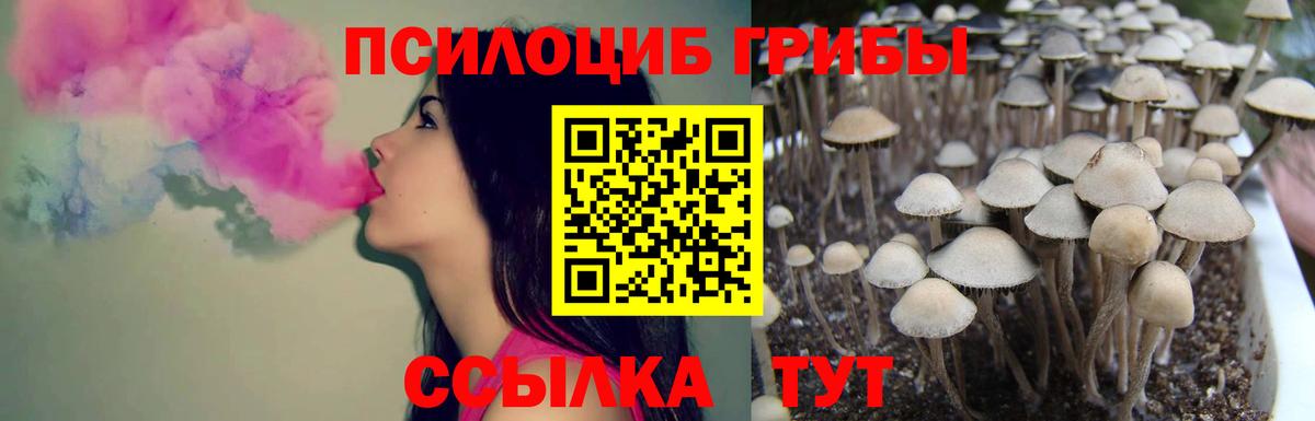 Псилоцибиновые грибы мухоморы  Псилоцибиновые грибы MAGIC MUSHROOMS  купить  сайты  Коломна  Вход с VPN 